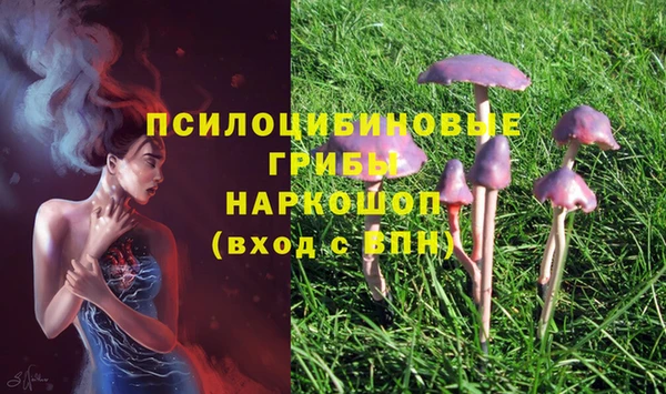 прущая мука Бородино