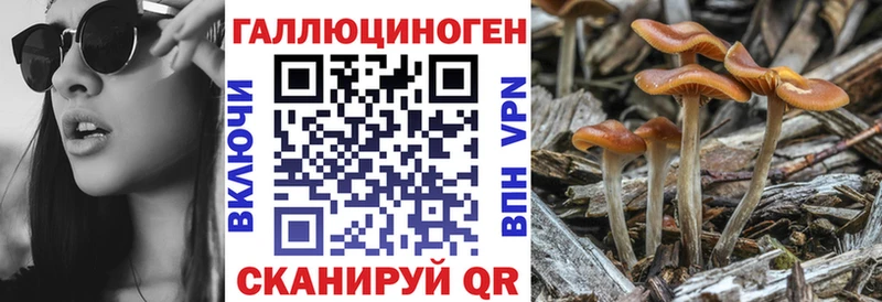 Галлюциногенные грибы MAGIC MUSHROOMS  KRAKEN маркетплейс  Северодвинск 